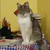 Отзыв от Алеся Олейникова